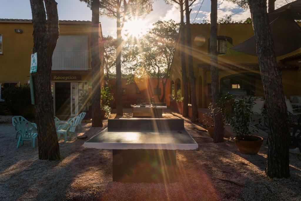 Domaine Des Mimosas Apartment อาร์เจเลส-ซัวร์-แมร์ ภายนอก รูปภาพ